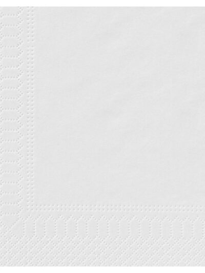 Serviette blanche 2 plis 20x20 cm par 6000