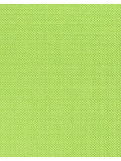 Serviette double point pistache 38x38 cm par 900 (18x50 pcs)