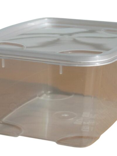 Barquette plastique MOG 1000ml + couvercle